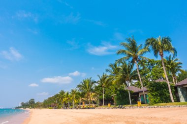Güzel plaj ve palmiye ağaçları ile
