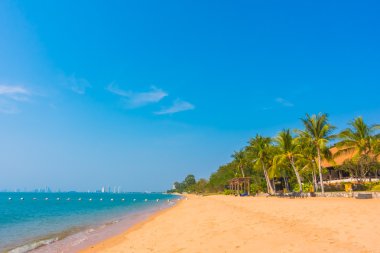 Güzel plaj ve palmiye ağaçları ile
