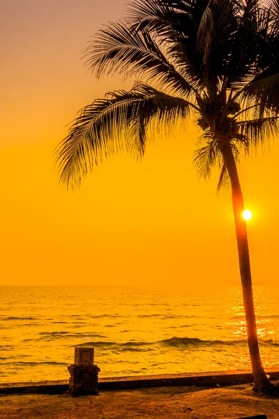 Siluet palmiye ağacı — Stok fotoğraf