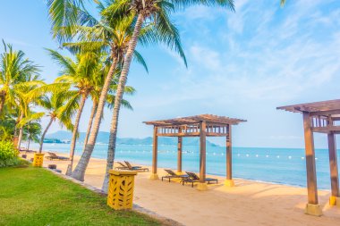 Güzel plaj ve palmiye ağaçları ile