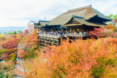 Kiyomizu tapınağında güzel mimari