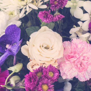 güzel çiçek arka plan