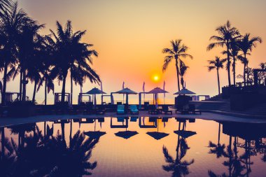 Güzel siluet palmiye ağacı