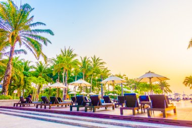 Güzel siluet palmiye ağacı