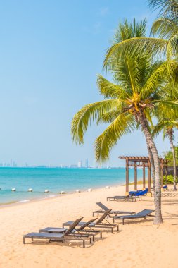 Güzel plaj ve palmiye ağaçları ile