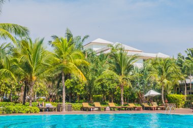 palmiye ağaçları ve Deniz Yüzme Havuzu