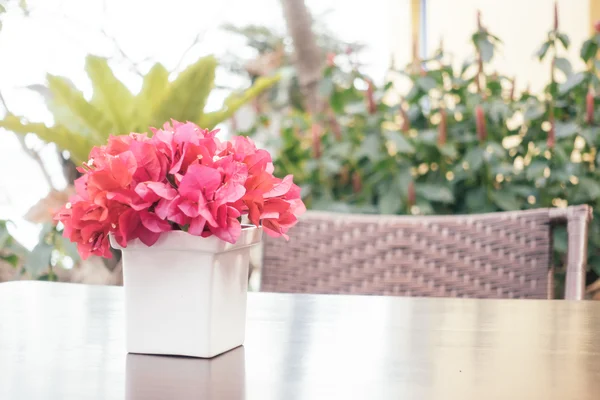 Bougainvillea flower in vase — Stock Photo, Image