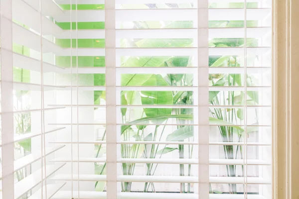 Jalousien Fenster im Wohnzimmer — Stockfoto