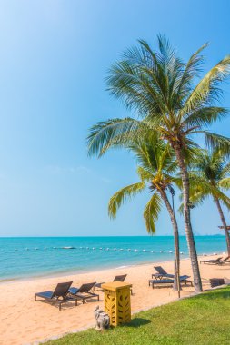 Güzel plaj ve palmiye ağaçları ile