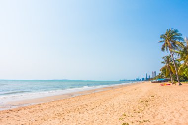 Sahilde palmiye ağacı