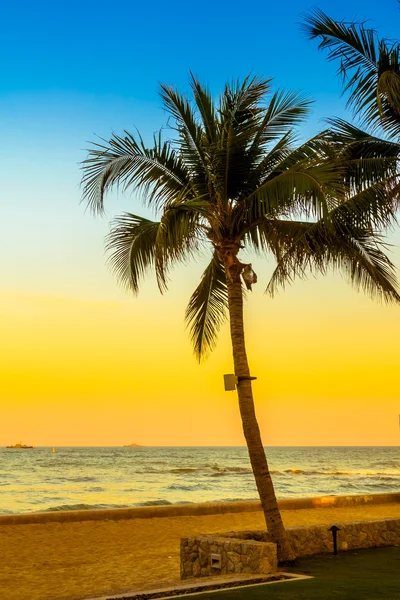 Palmeras en la playa — Foto de Stock