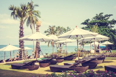 Şemsiye ve tropikal plaj sandalye