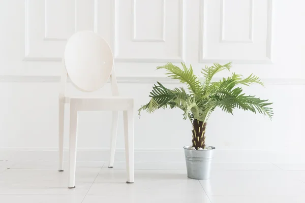 Empty chair with vase plant