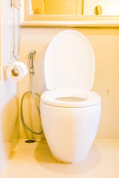 Toilettensitz Dekoration — Stockfoto