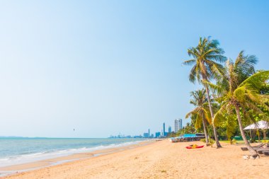 Sahilde palmiye ağacı