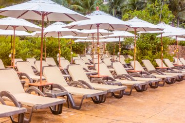 Palmiye ağaçları ile lüks Yüzme Havuzu