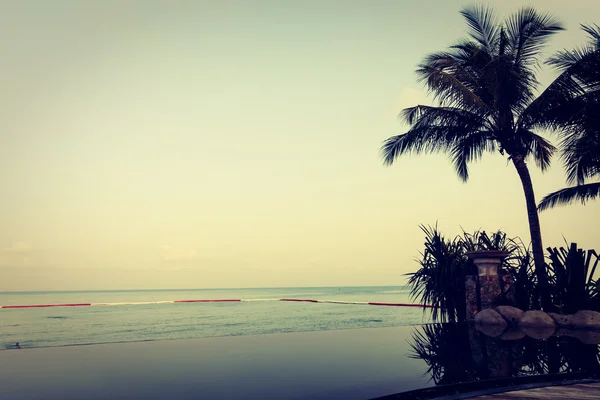 Роскошный бассейн с пальмами — стоковое фото