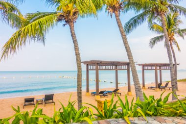 Güzel plaj ve palmiye ağaçları ile