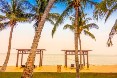 Güzel plaj ve palmiye ağaçları ile