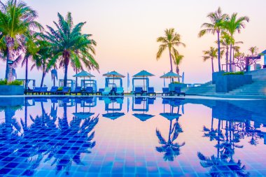 Güzel siluet palmiye ağacı