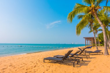 Güzel plaj ve palmiye ağaçları ile