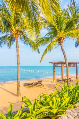 Güzel plaj ve palmiye ağaçları ile