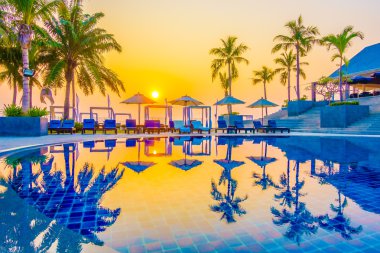 Güzel siluet palmiye ağacı