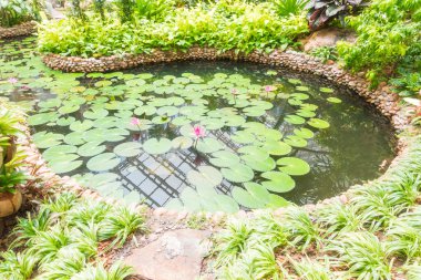 Taş yol yol yürümek için