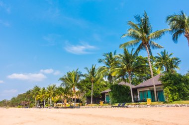 Güzel plaj ve palmiye ağaçları ile