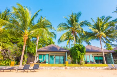 Güzel plaj ve palmiye ağaçları ile