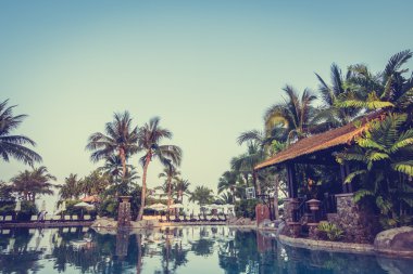 Palmiye ağaçları ile lüks Yüzme Havuzu
