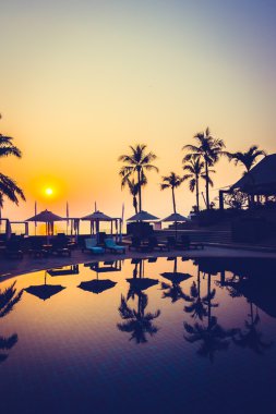 Günbatımı zaman palmiye ağaçlarının Silhouettes