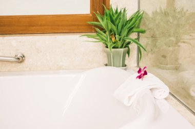 Küvet banyo iç dekorasyon