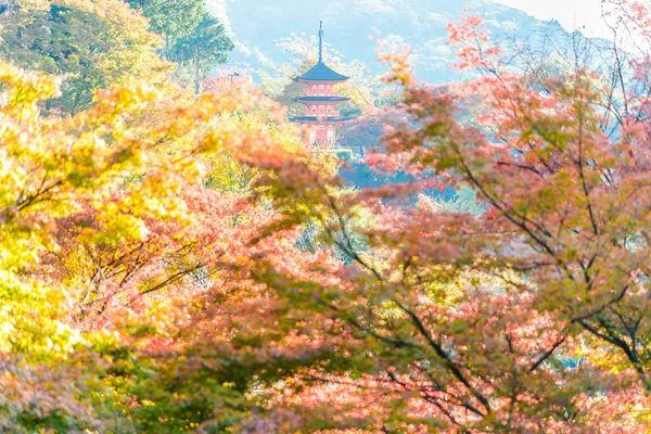 Kiyomizu dera ναός στο Κιότο, στην Ιαπωνία — Φωτογραφία Αρχείου