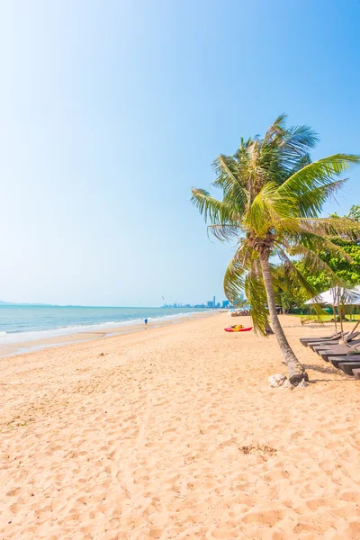 Palma sulla spiaggia — Foto Stock