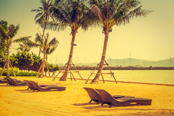 Palm trees on beach — Stock Photo, Image