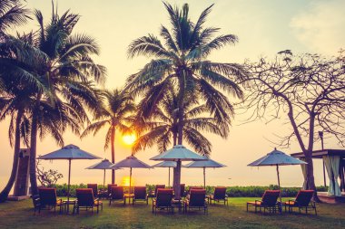 Boş şemsiyeleri ve sandalyeler, Twilight zamanlarda