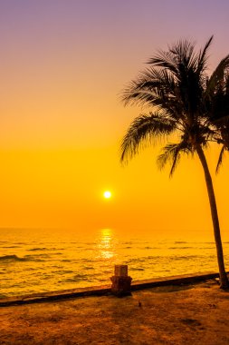 siluet palmiye ağacı