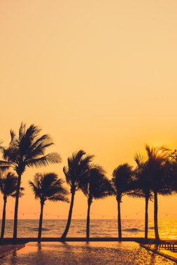 Gün batımı ile palmiye ağaçlarının Silhouettes