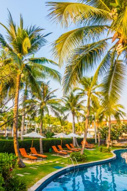 Boş şemsiyeleri ve sandalyeler