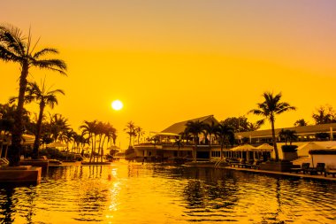 Günbatımı zaman palmiye ağaçlarının Silhouettes