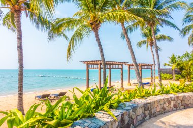 Güzel plaj ve palmiye ağaçları ile