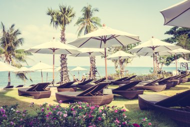 Şemsiye ve tropikal plaj sandalye