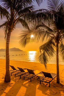 Güzel plaj ve palmiye ağaçları ile