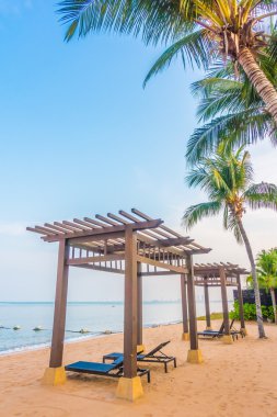 Güzel plaj ve palmiye ağaçları ile