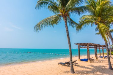 Güzel plaj ve palmiye ağaçları ile