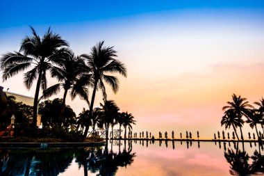 Ve Yüzme Havuzu palmiye ağaçlarının Silhouettes
