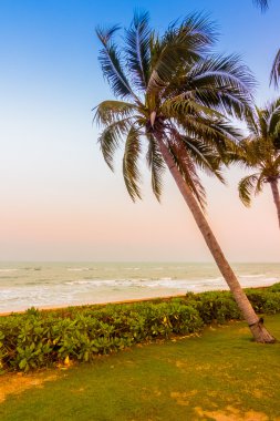 Boş şemsiyeleri ve sandalyeler, Twilight zamanlarda