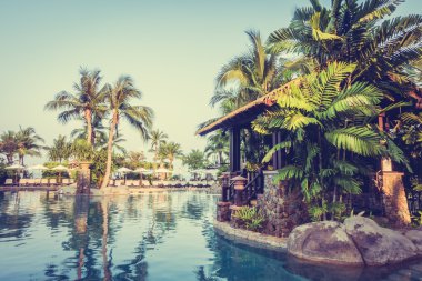 Palmiye ağaçları ile lüks Yüzme Havuzu