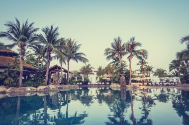 Palmiye ağaçları ile lüks Yüzme Havuzu